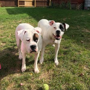 Meet your Posher, Mel